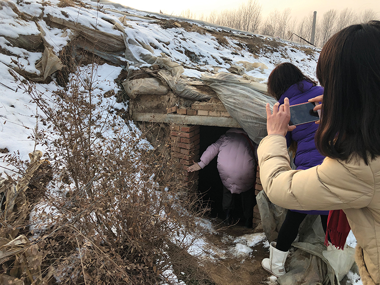 vegetable garden entrance_780