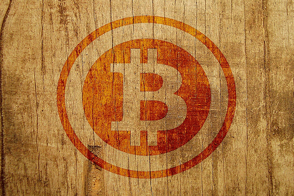 bitcoin-wood-tree-600