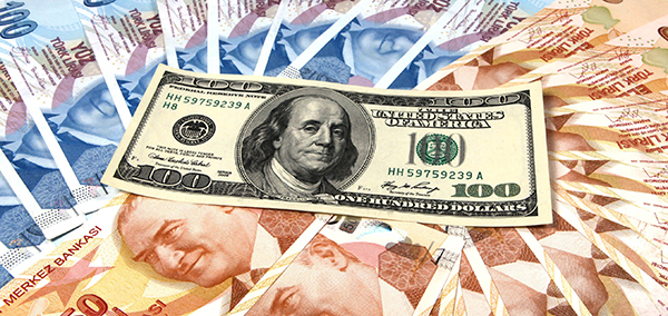 Turkey lira US dollar-R-600