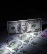 lira large