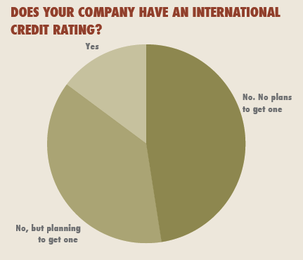 does your company have an international credit rating