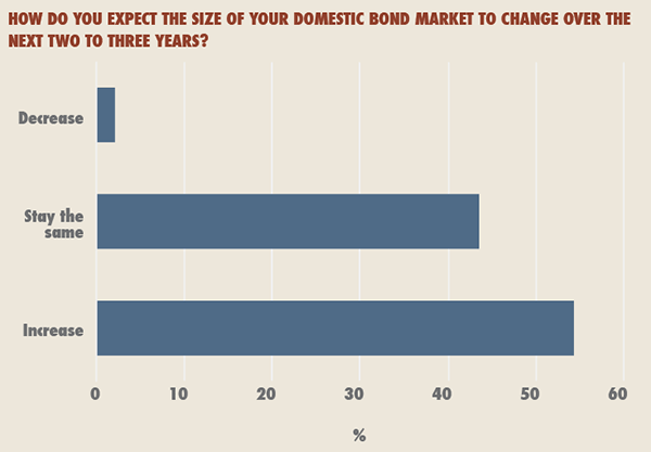 how do you expect the size of domestic bond market to change over the next two to three years