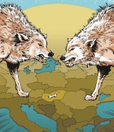 CEE Fighting Dogs-160x186