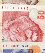 rand SA strip-large