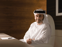 Waleed Al Mokarrab, Economic Development Council