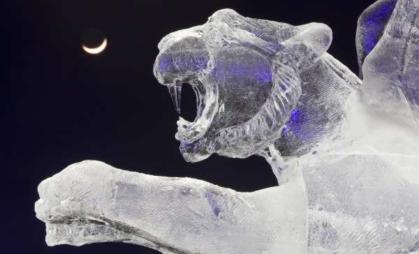 ice sculpture-R-600