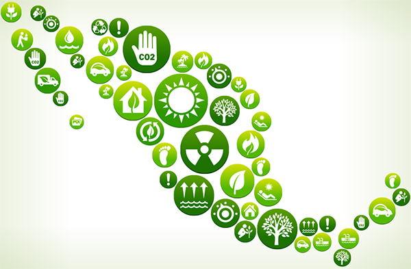 Mexico green illustration-600