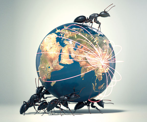 Ants-globe-illo-600
