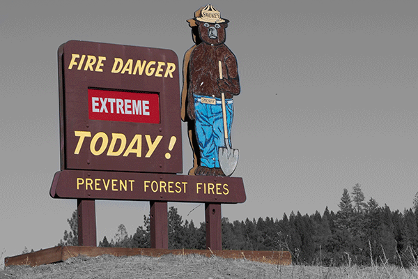 Smokey-forest-fires-sign-600