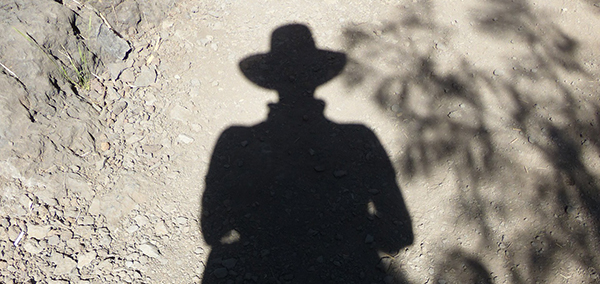 cowboy shadow-600