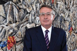 Australian treasurer, Wayne Swan