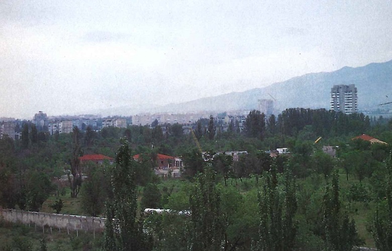 CEE brady pic 3 780px