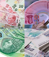 RMB-lira-zloty-rouble-160x186