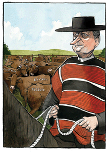 Huaso bonds are issued in the Chilean domestic capital markets by international issuers, named after the Chilean word for cowboy