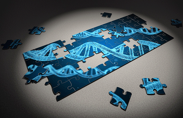 DNA-jigsaw-evolution-600