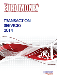 Transaction services guide 2014