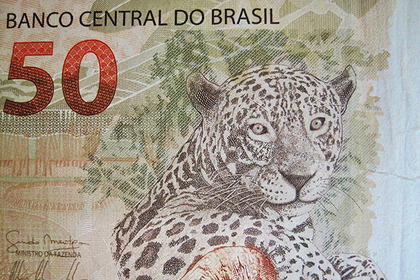 Brazil-real-50-jaguar-600