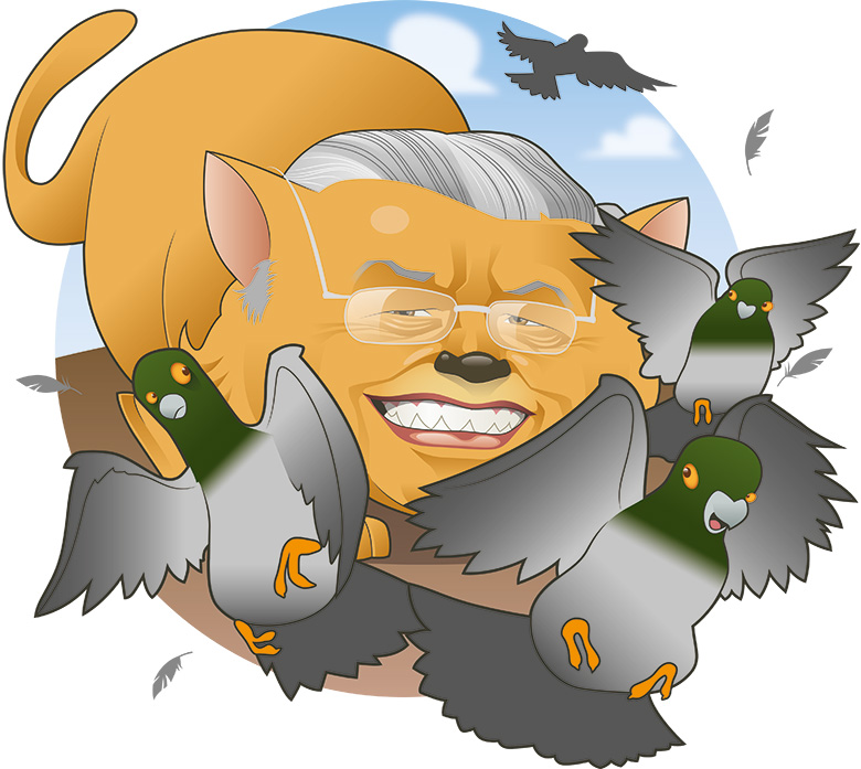 AA10-Cat-Among-The-Pigeons-Award-780