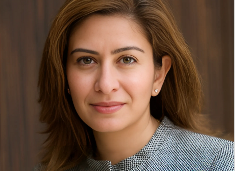Bana Akkad-Azhari, BNY