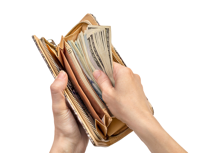 purse 780
