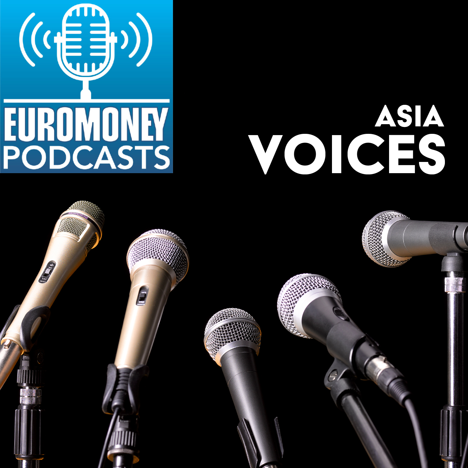 podcasts-asia-voices-1500x1500f.jpg