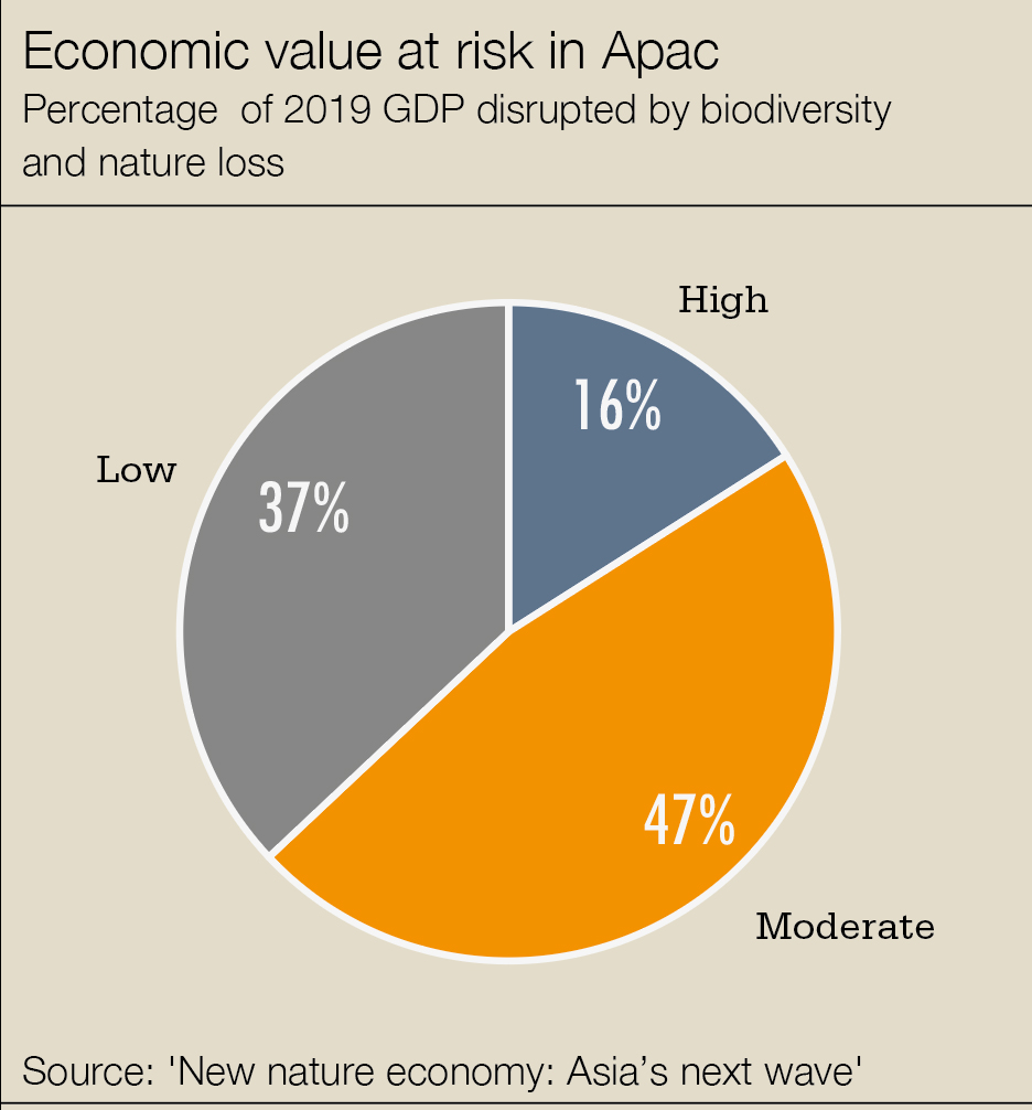 cw-nature-economy1.jpg