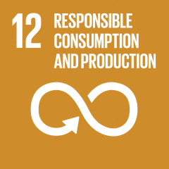 12-consumption