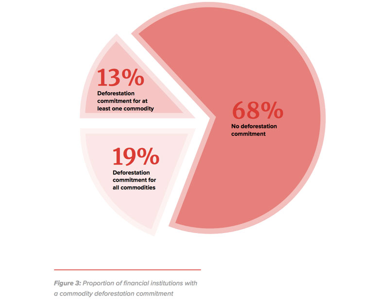 Helen_pie_chart-deforestation-780.jpg