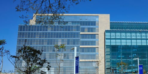 Standard Bank.jpg