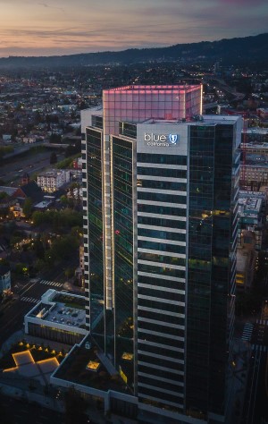 Blue Shield office 300px