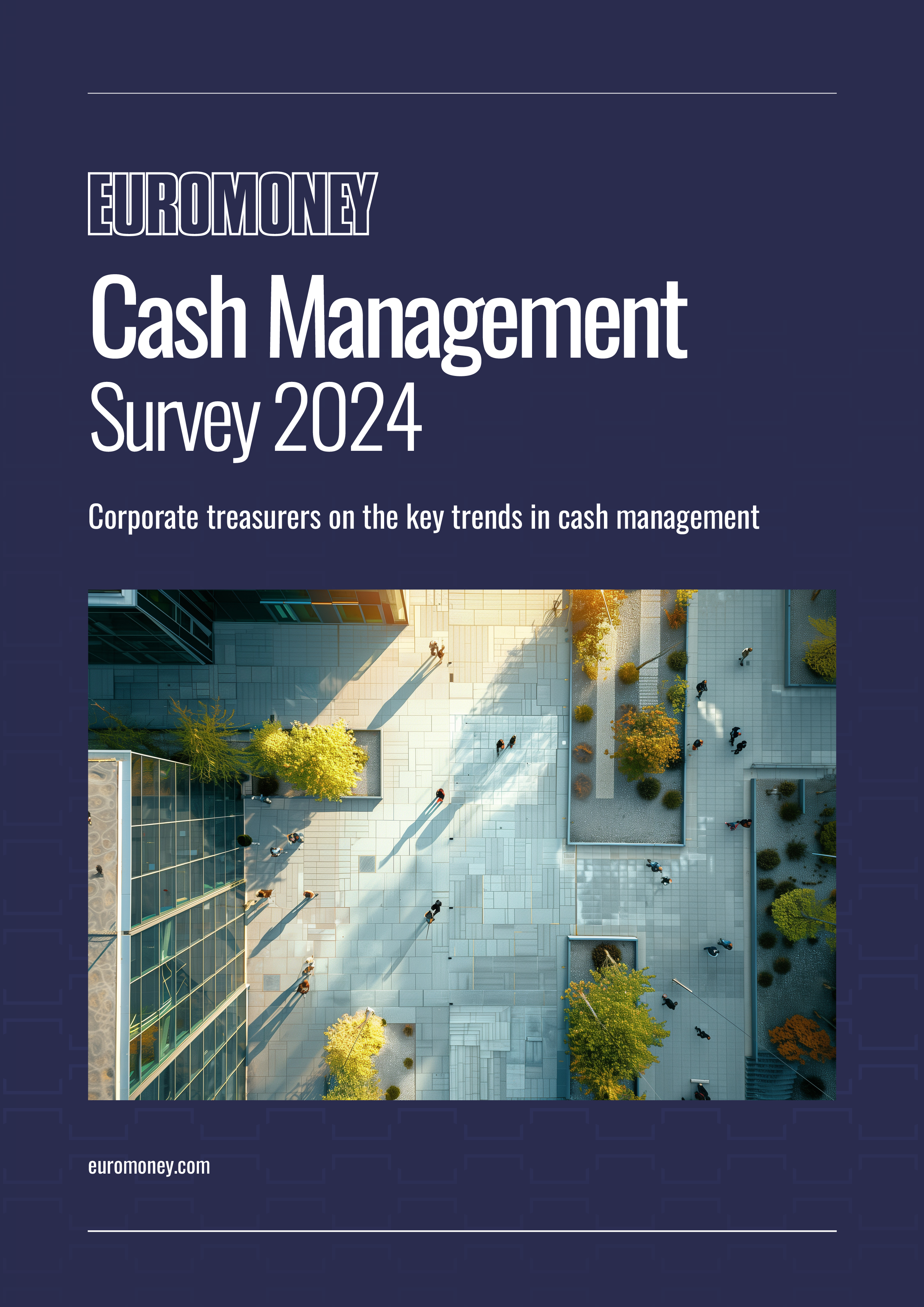 Euromoney Cash Management Survey 2024_Cover.png