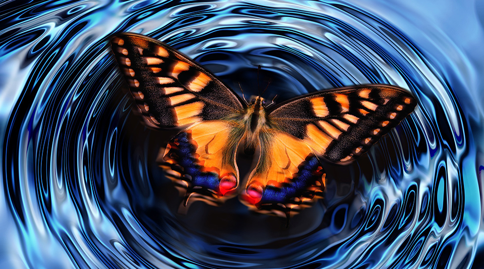 ripples-butterfly-g00e4e4948_1920.jpg