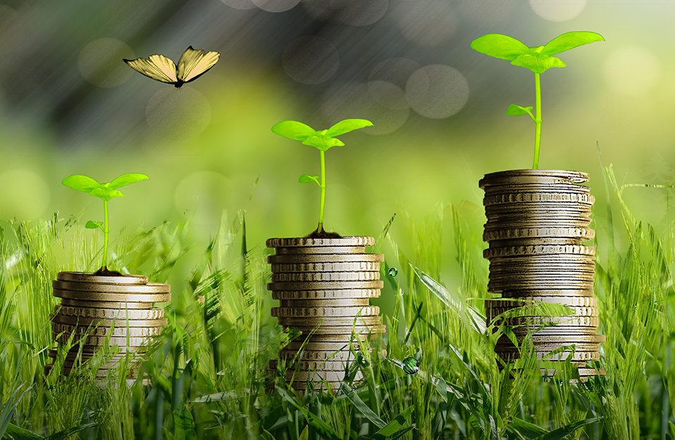 green-plants-grow-money-free-960.jpg