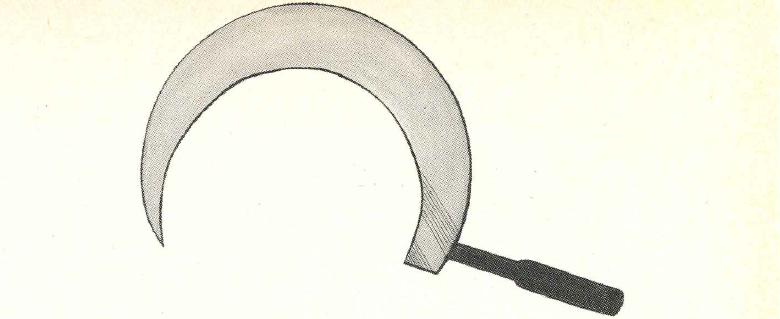 CEE_Nov_1977-sickle-780.png