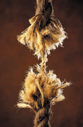 cover-01.jpg