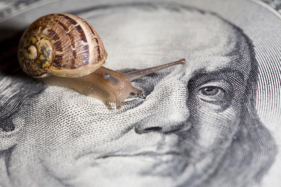 snail-dollar-iStock-960.jpg