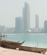 Adia_2013_review-large