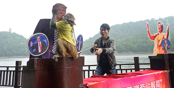 Trump China monkey-R-600